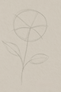 Step-by-step easy hibiscus drawing with circle and cute petals