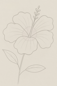 Step-by-step easy hibiscus drawing with circle and cute petals