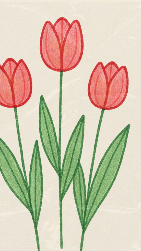 Easy tulip flower pencil drawing for beginners